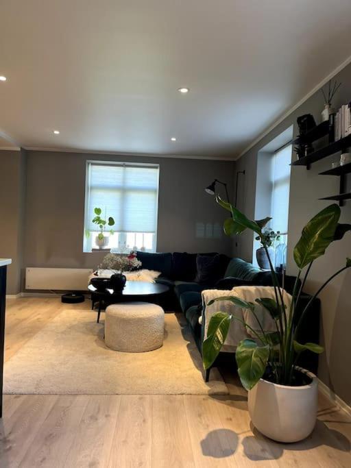 Bynaer Og Fin Leilighet, Stor Privat Terrasse! Bergen